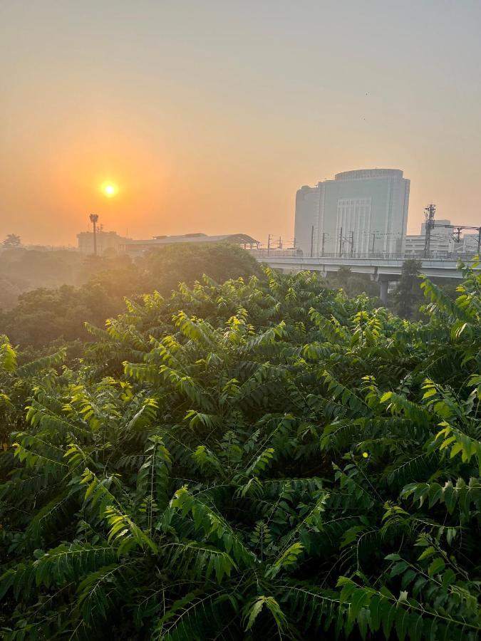 House Of Comfort Delhi * New Delhi